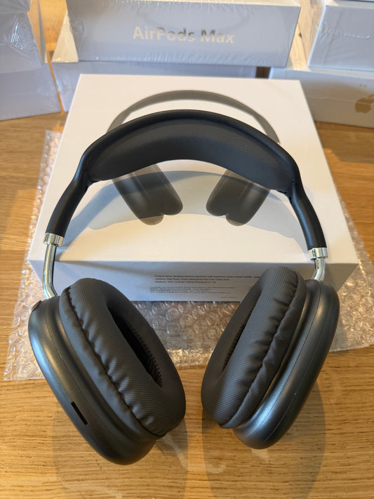 Earphones