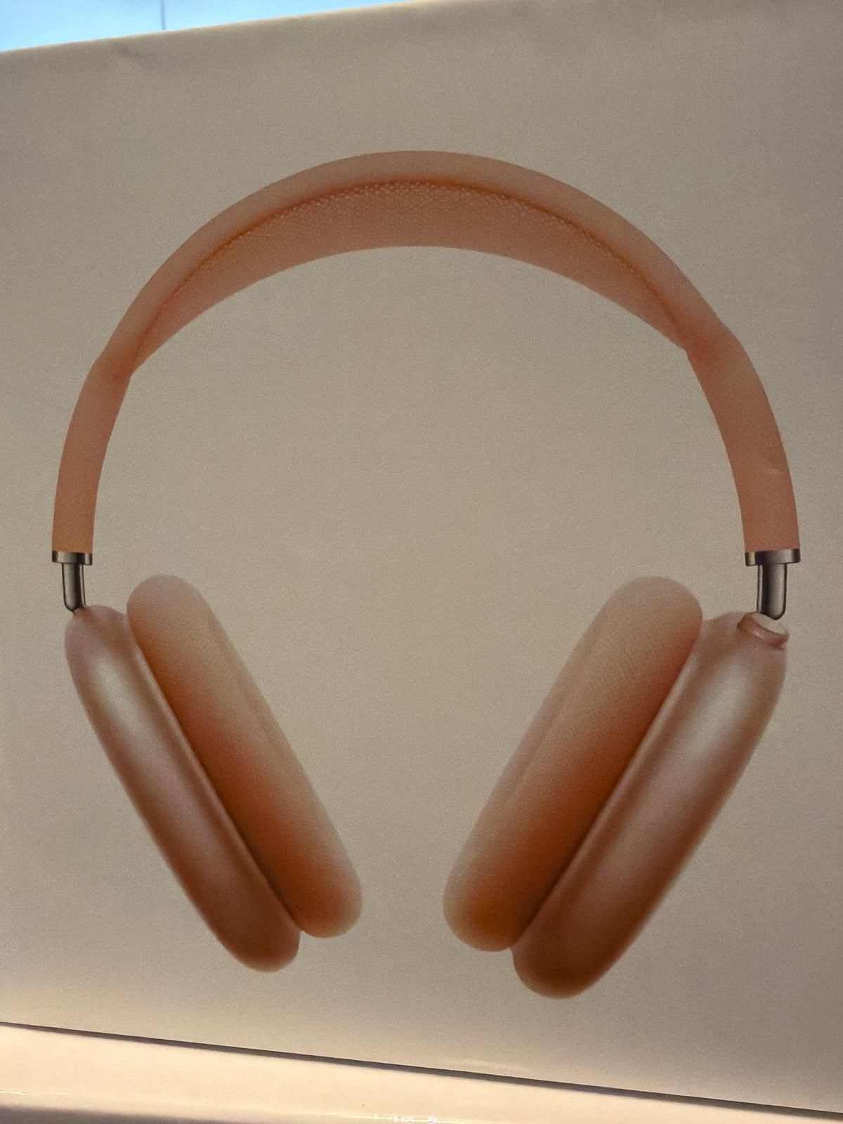 Earphones